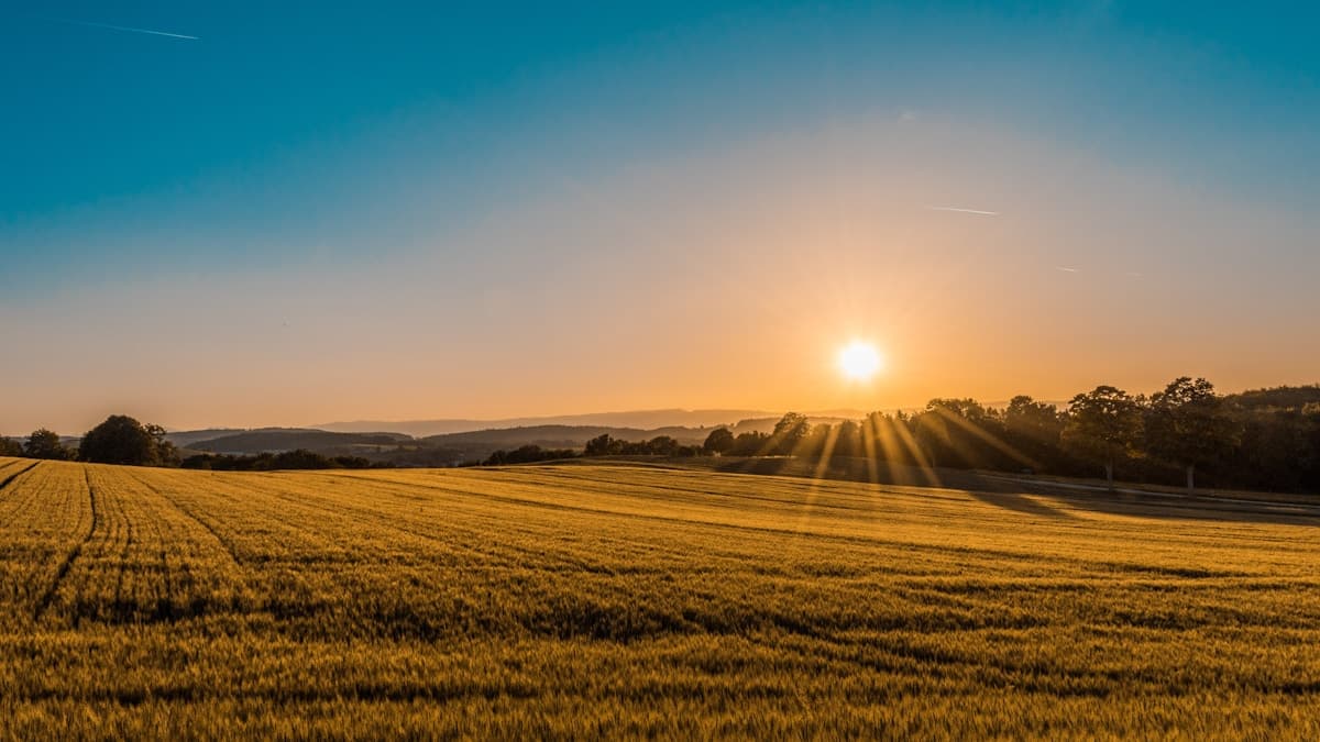 Agricultural landscape
