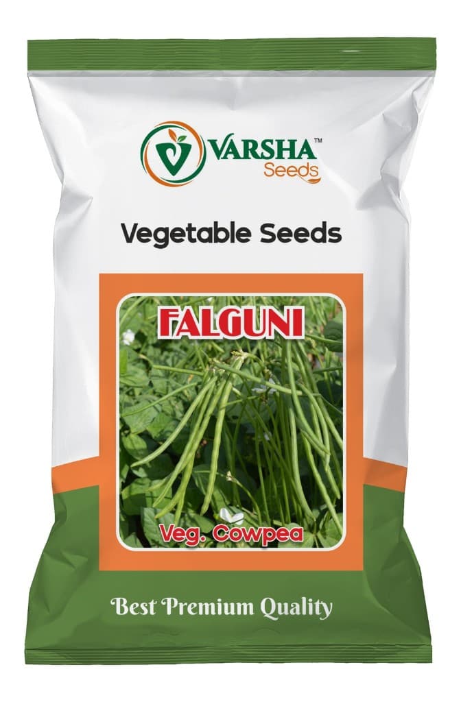 फाल्गुनी वेज चोली (लोबिया)