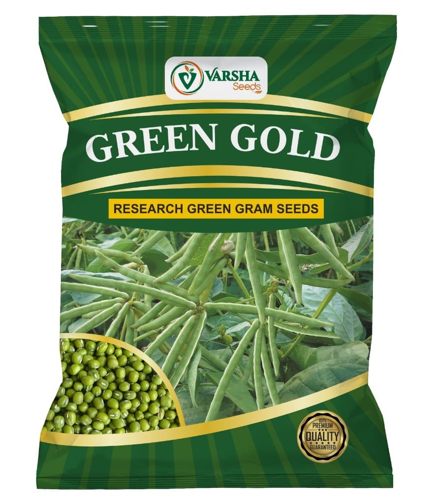 ग्रीन गोल्ड (शोध रिजका/लूसर्न) - Regular