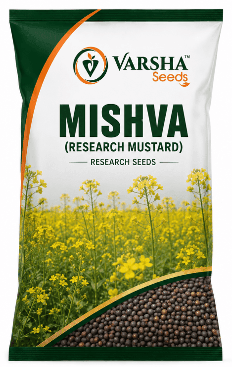 मिश्वा (शोध सरसों)