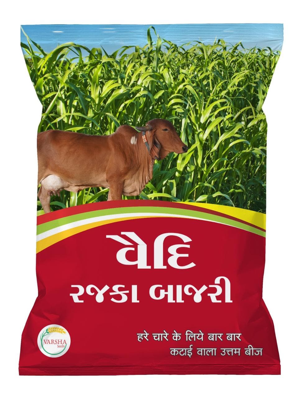 Vaidi Rajka Bajri (Fodder Seeds)
