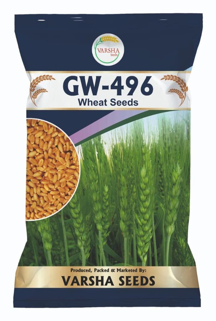 GW-496 (Wheat Seeds)