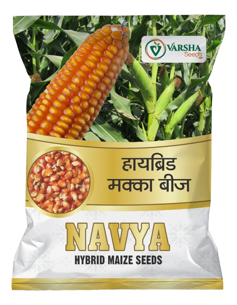 Navya (Hybrid Maize) - SX Yellow 9081 Bayer